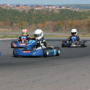 Foreign students mastering carting skills.